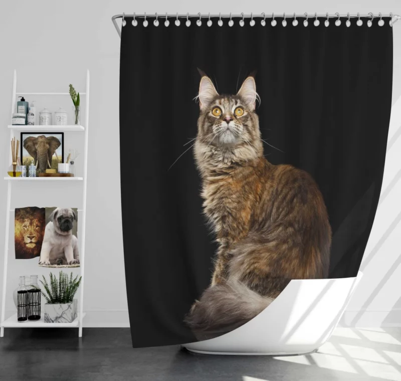 Mysterious Cat Gaze Feline Intrigue Shower Curtain