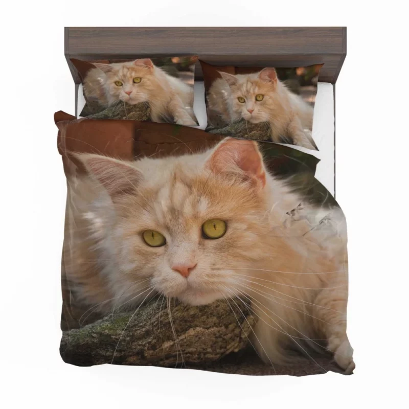 Mysterious Charm Cat Gaze Bedding Set 1