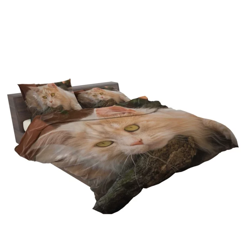 Mysterious Charm Cat Gaze Bedding Set 2