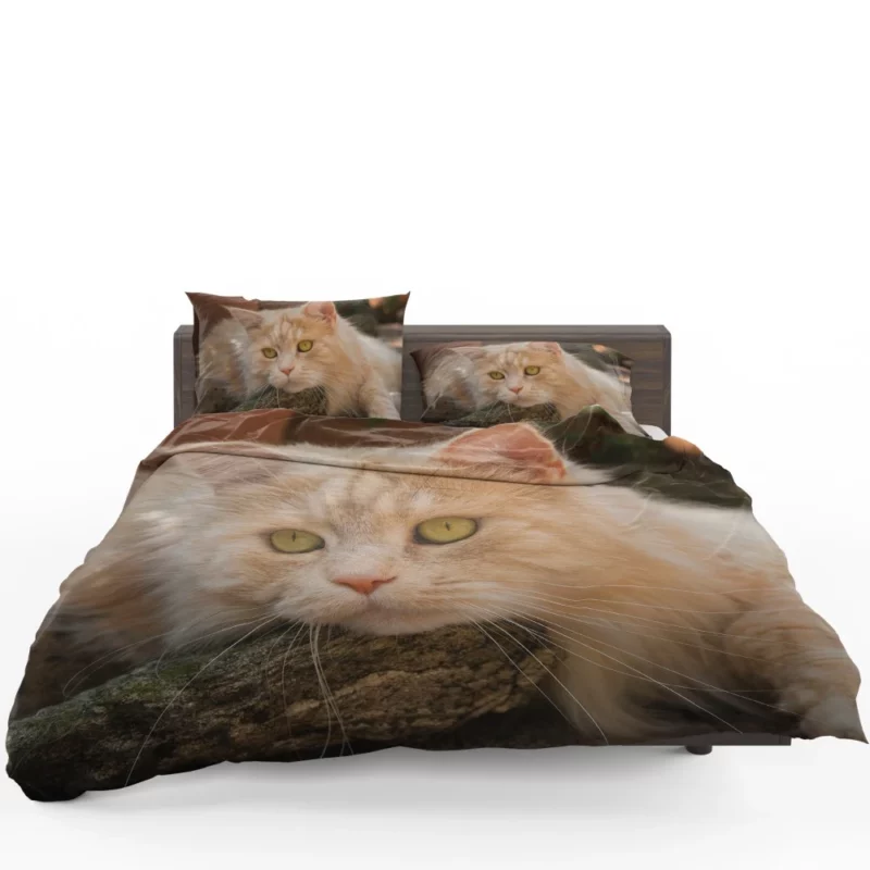 Mysterious Charm Cat Gaze Bedding Set