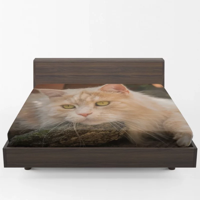 Mysterious Charm Cat Gaze Fitted Sheet