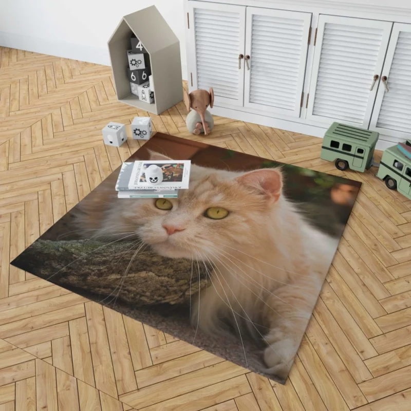 Mysterious Charm Cat Gaze Rug 1