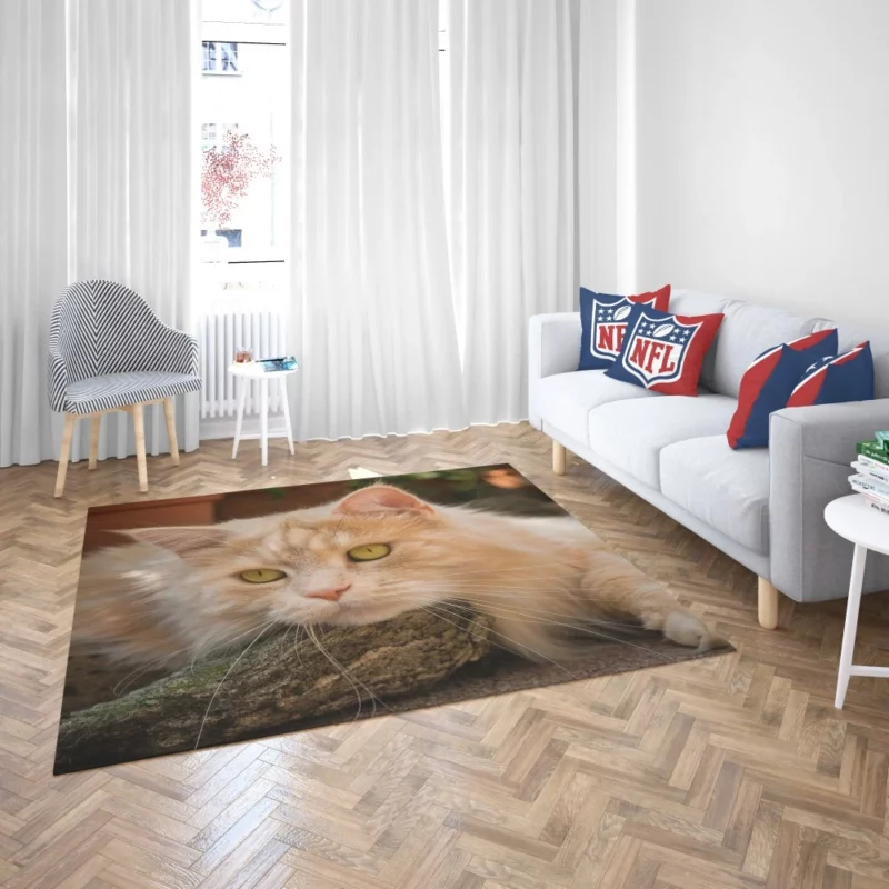 Mysterious Charm Cat Gaze Rug 2