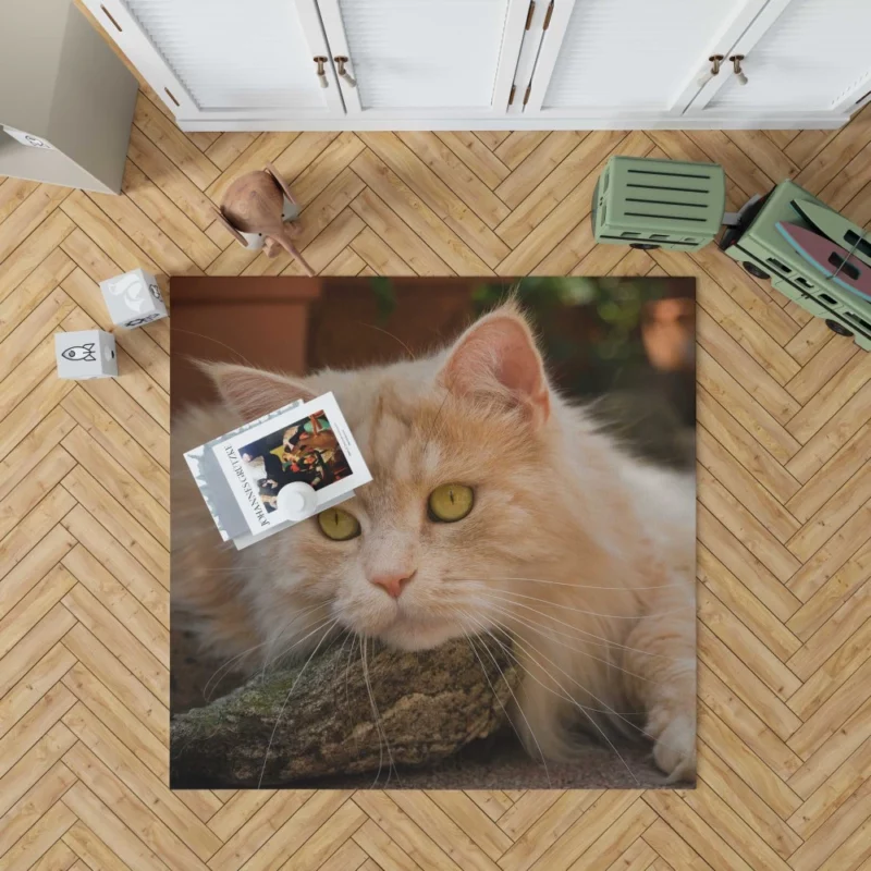 Mysterious Charm Cat Gaze Rug