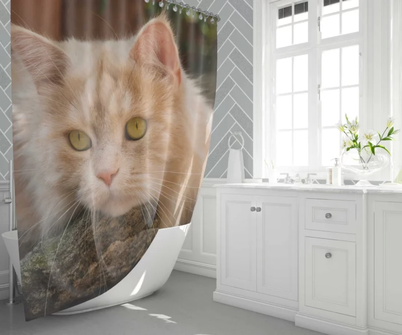 Mysterious Charm Cat Gaze Shower Curtain 1