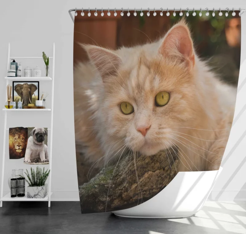 Mysterious Charm Cat Gaze Shower Curtain