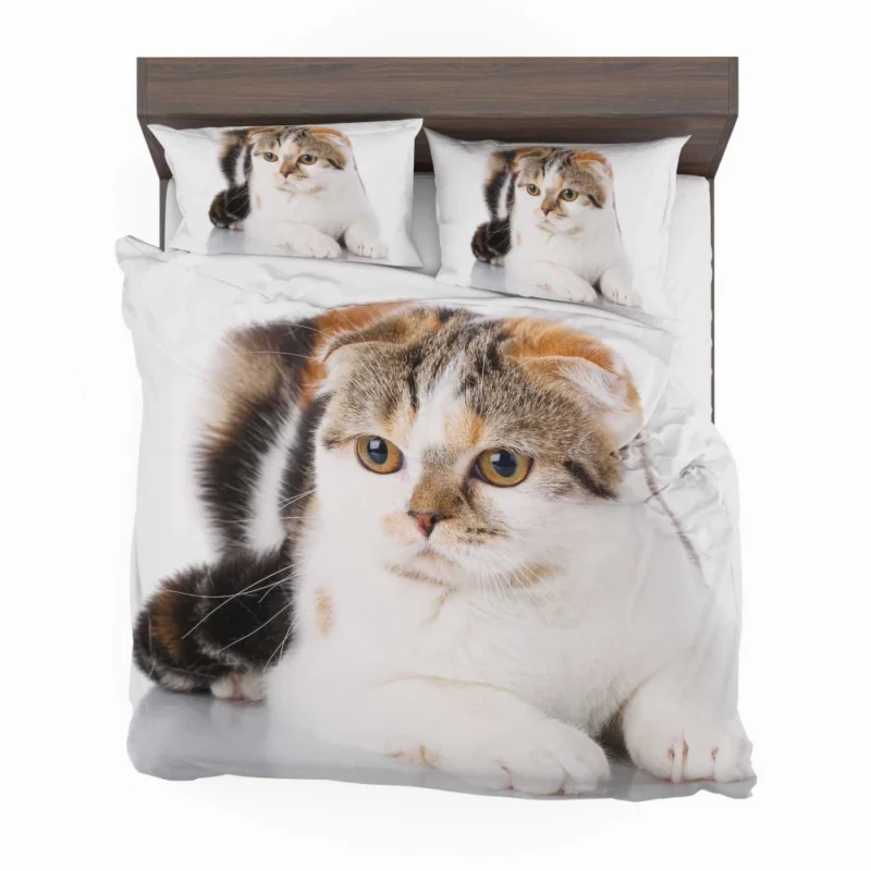 Mysterious Depth Cat Gaze Bedding Set 1