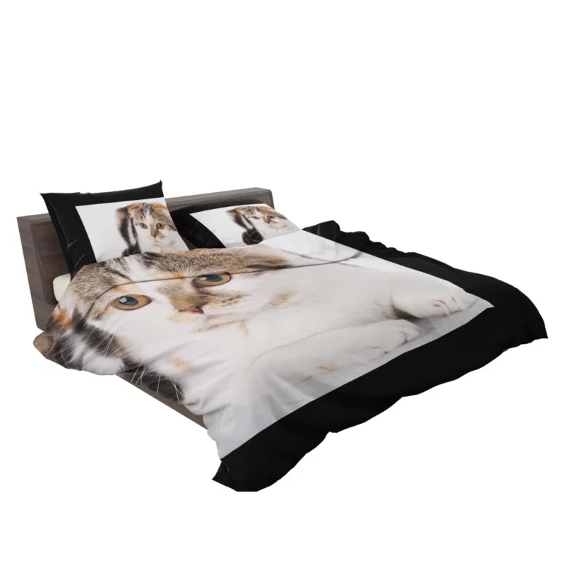 Mysterious Depth Cat Gaze Bedding Set 2