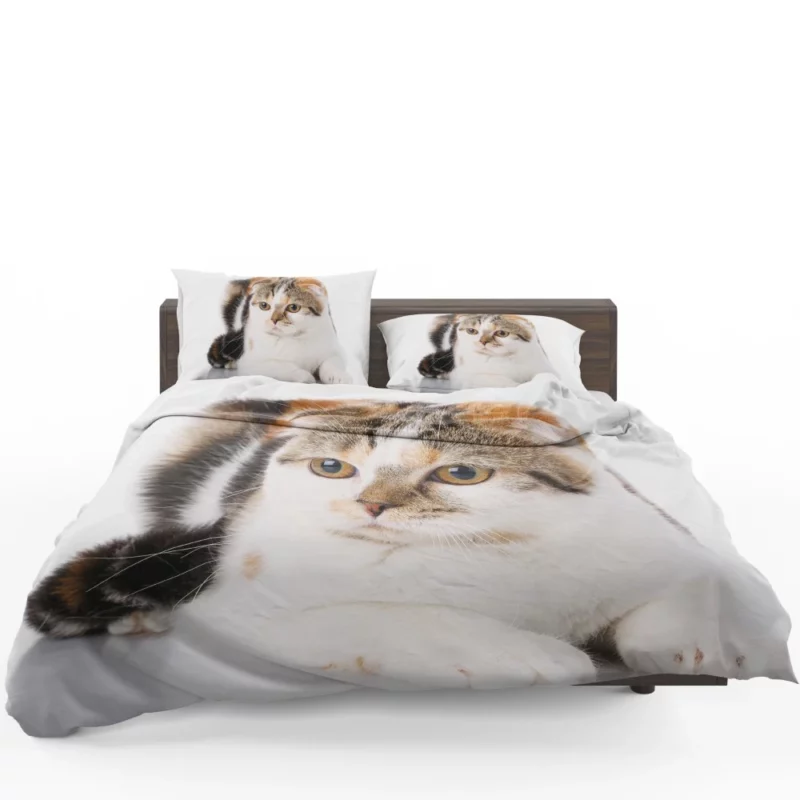 Mysterious Depth Cat Gaze Bedding Set