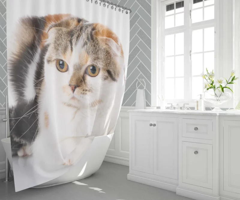 Mysterious Depth Cat Gaze Shower Curtain 1