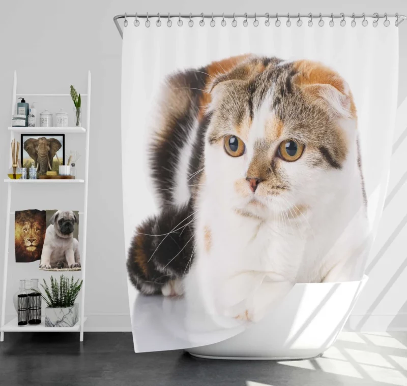 Mysterious Depth Cat Gaze Shower Curtain