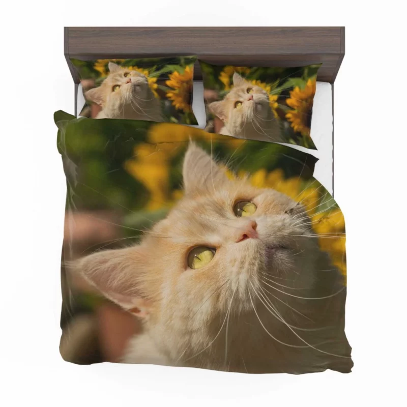 Mysterious Gaze Captivating Cat Bedding Set 1