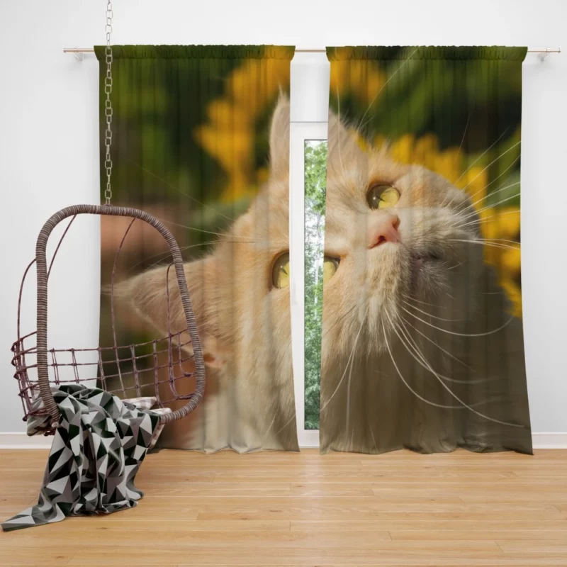 Mysterious Gaze Captivating Cat Curtain