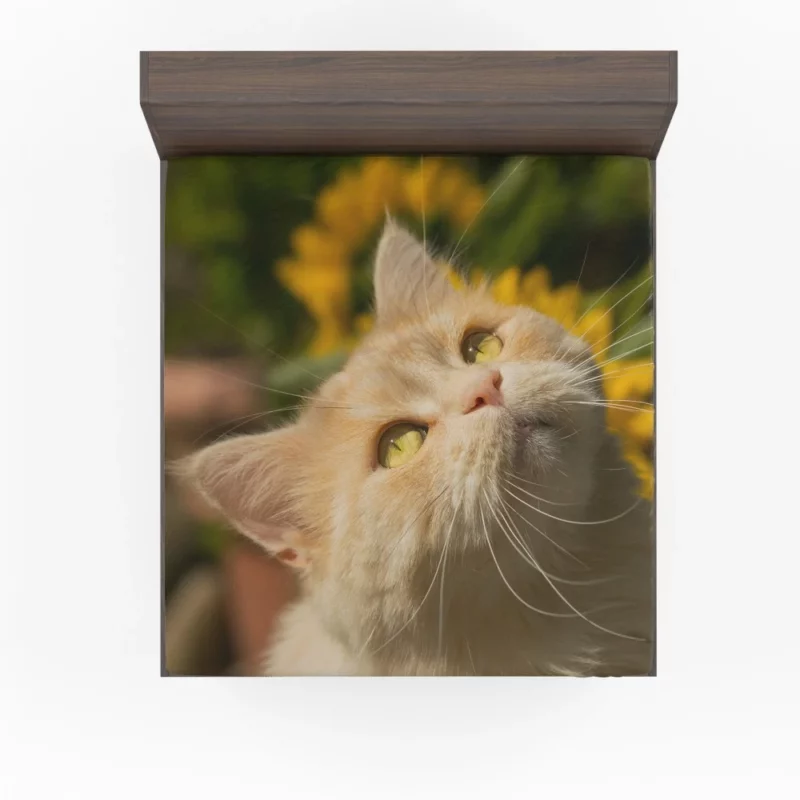 Mysterious Gaze Captivating Cat Fitted Sheet 1