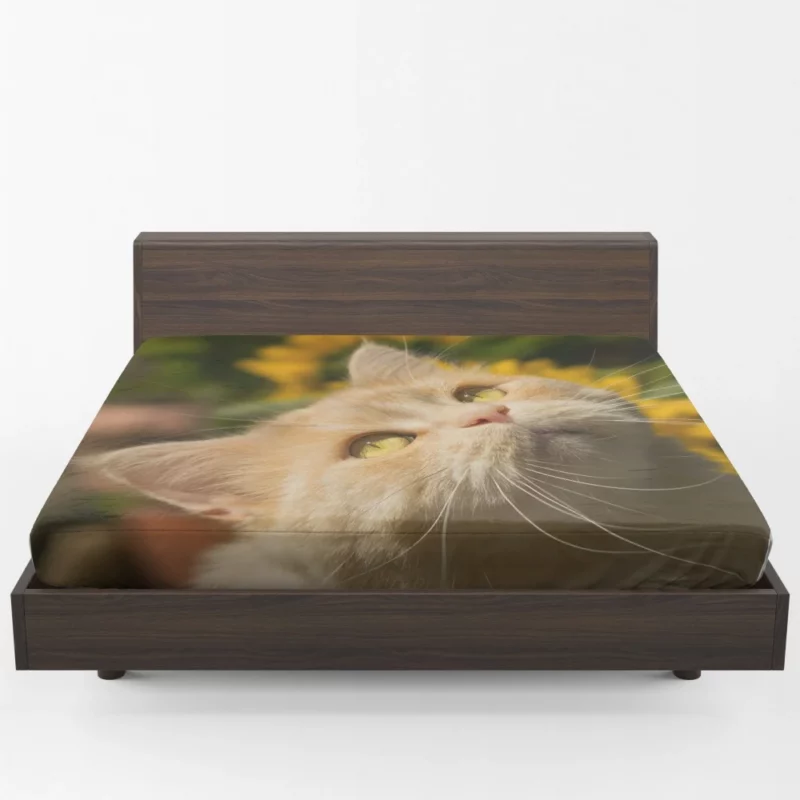 Mysterious Gaze Captivating Cat Fitted Sheet