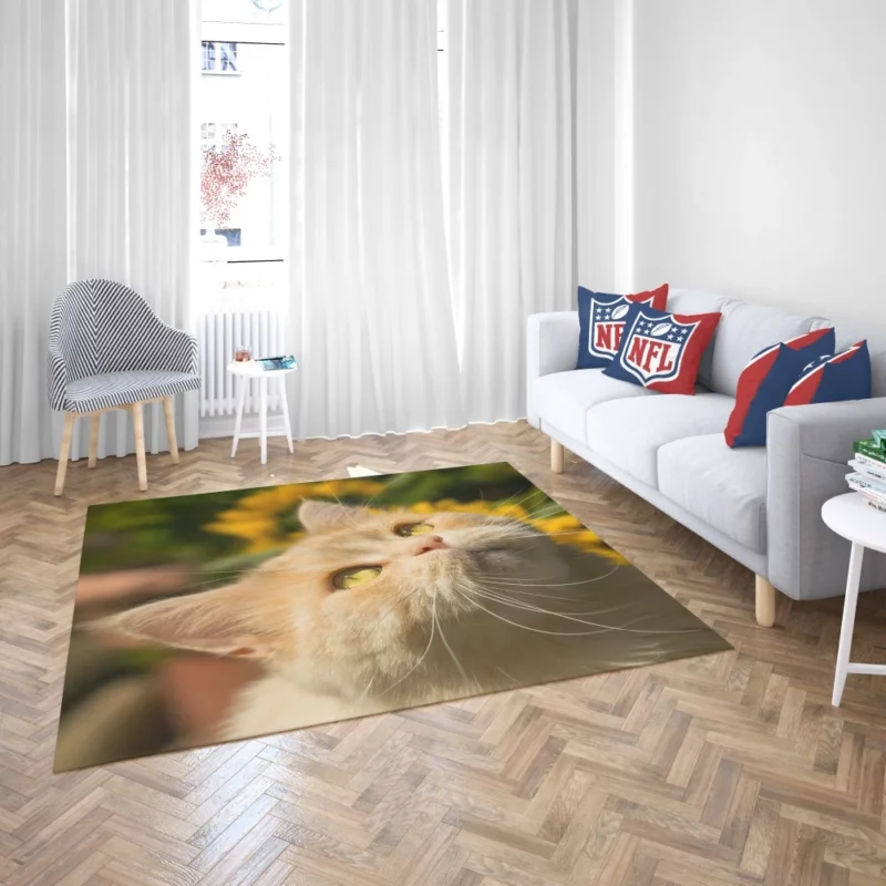 Mysterious Gaze Captivating Cat Rug 2