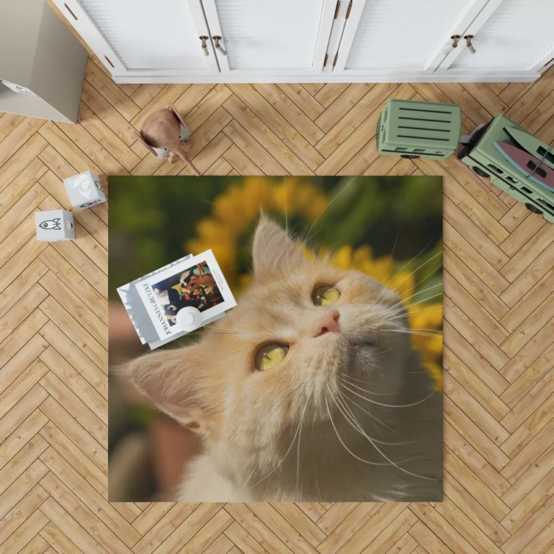 Mysterious Gaze Captivating Cat Rug