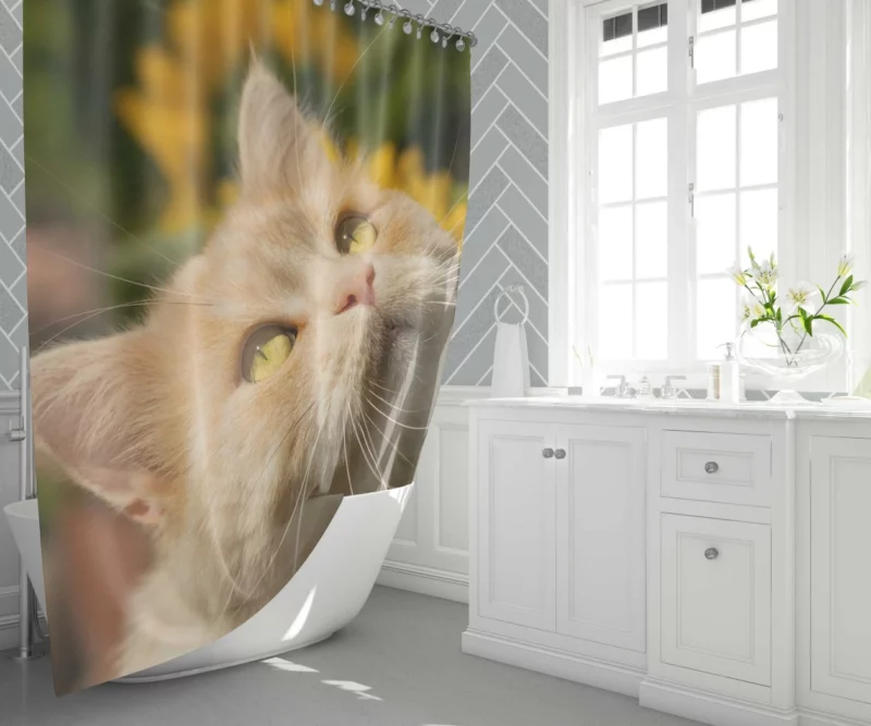 Mysterious Gaze Captivating Cat Shower Curtain 1