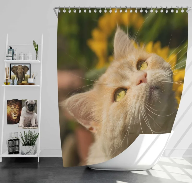 Mysterious Gaze Captivating Cat Shower Curtain