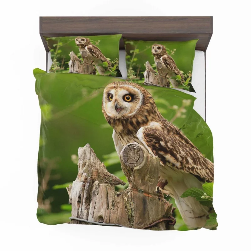 Mysterious Gaze Owl Nocturnal Wonder Bedding Set 1