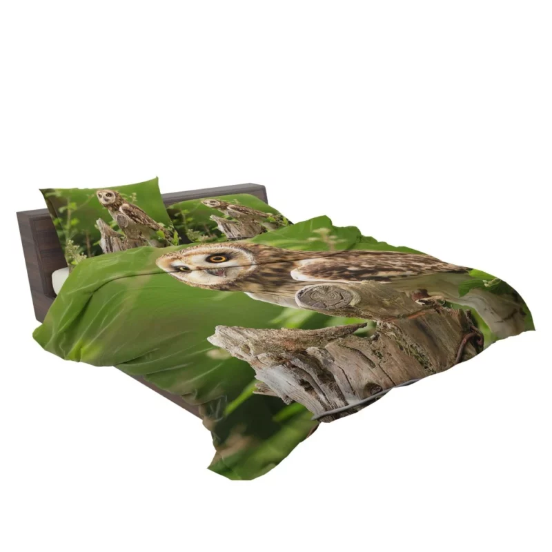 Mysterious Gaze Owl Nocturnal Wonder Bedding Set 2