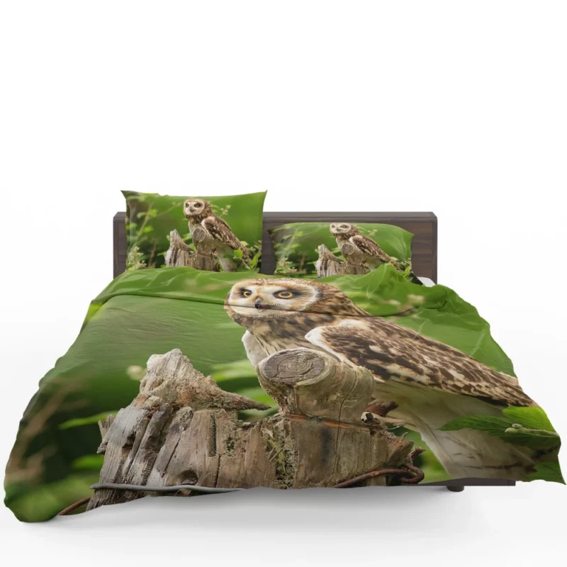 Mysterious Gaze Owl Nocturnal Wonder Bedding Set