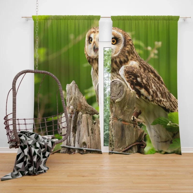 Mysterious Gaze Owl Nocturnal Wonder Curtain