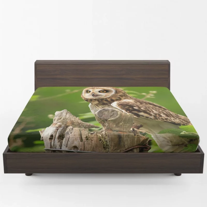 Mysterious Gaze Owl Nocturnal Wonder Fitted Sheet