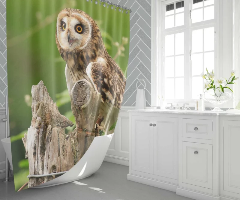 Mysterious Gaze Owl Nocturnal Wonder Shower Curtain 1