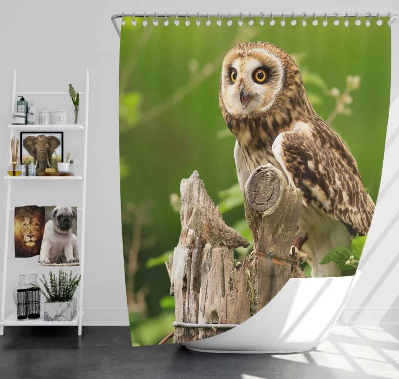 Mysterious Gaze Owl Nocturnal Wonder Shower Curtain