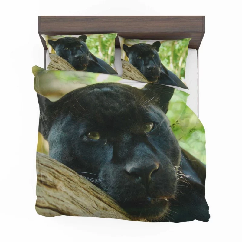 Mysterious Panther Enigma of the Wild Bedding Set 1