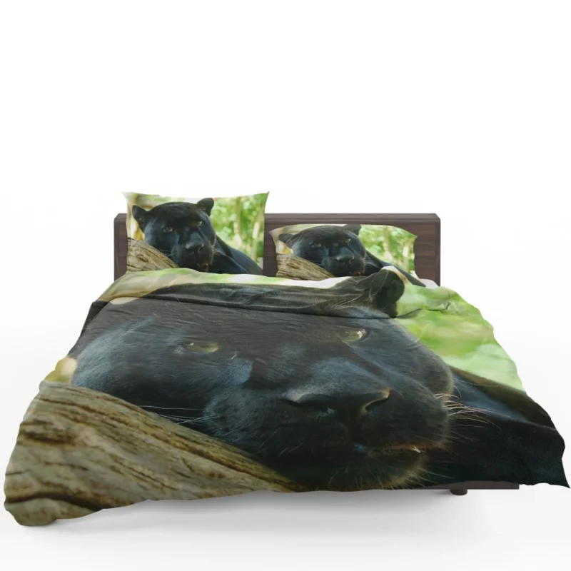 Mysterious Panther Enigma of the Wild Bedding Set