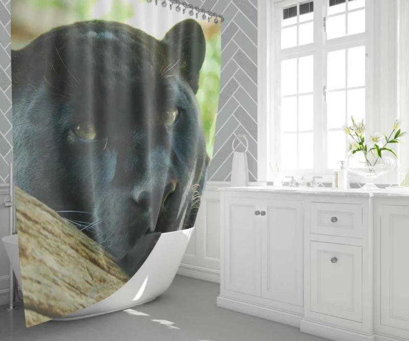 Mysterious Panther Enigma of the Wild Shower Curtain 1