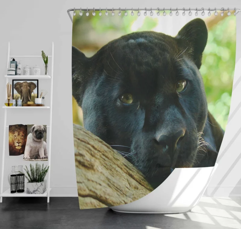 Mysterious Panther Enigma of the Wild Shower Curtain