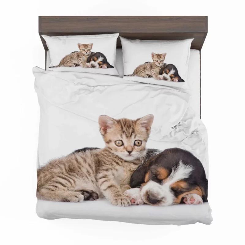 Naptime Duo Furry Dreams Unleashed Bedding Set 1