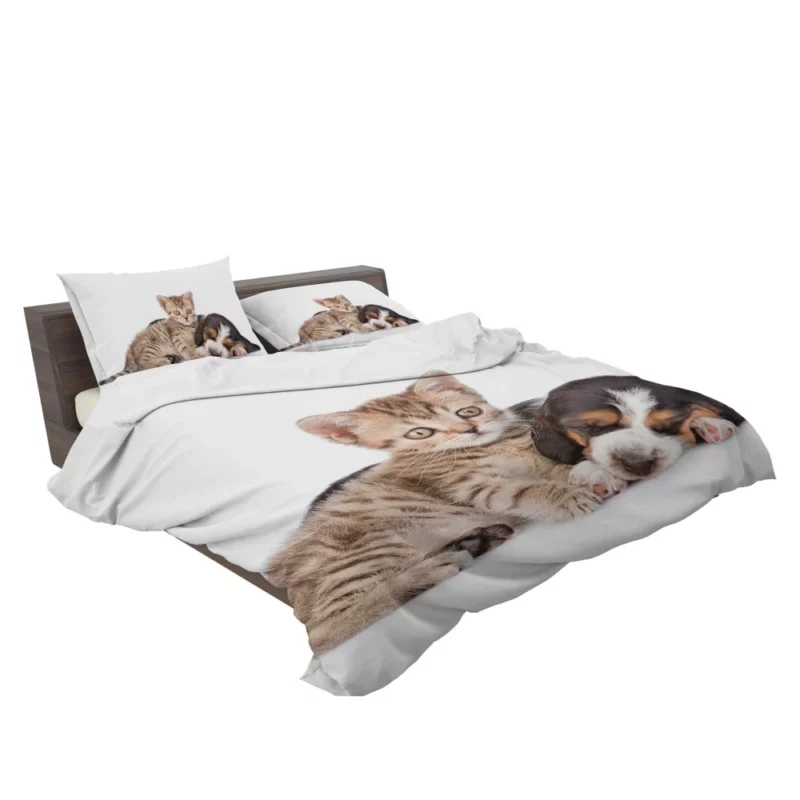 Naptime Duo Furry Dreams Unleashed Bedding Set 2