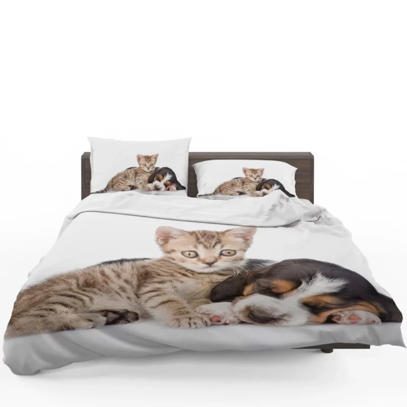 Naptime Duo Furry Dreams Unleashed Bedding Set