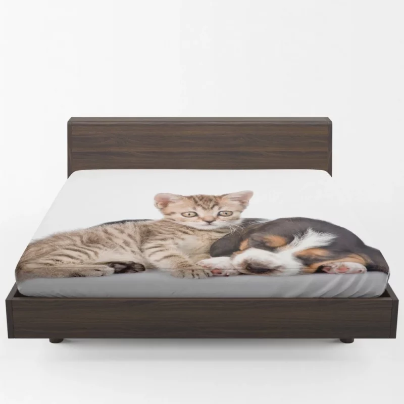 Naptime Duo Furry Dreams Unleashed Fitted Sheet