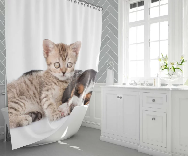 Naptime Duo Furry Dreams Unleashed Shower Curtain 1