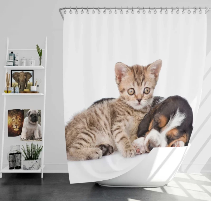 Naptime Duo Furry Dreams Unleashed Shower Curtain