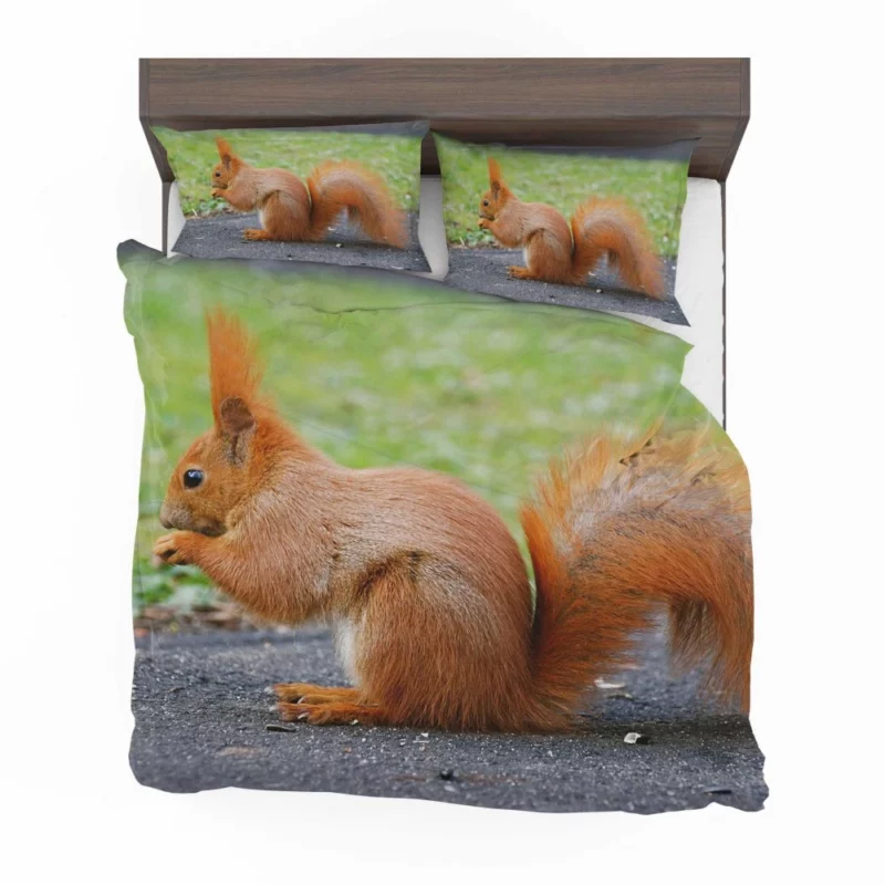 Nature Acrobat Squirrel Playful Moves Bedding Set 1