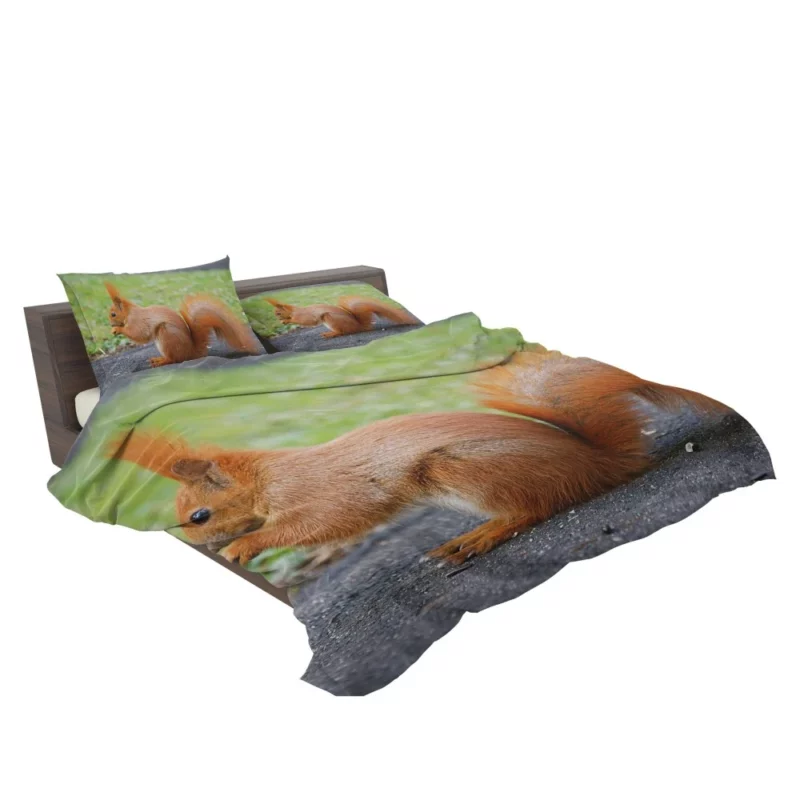 Nature Acrobat Squirrel Playful Moves Bedding Set 2