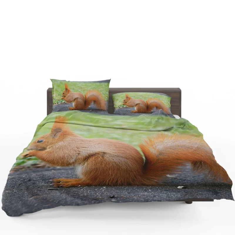 Nature Acrobat Squirrel Playful Moves Bedding Set