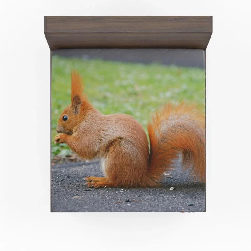 Nature Acrobat Squirrel Playful Moves Fitted Sheet 1