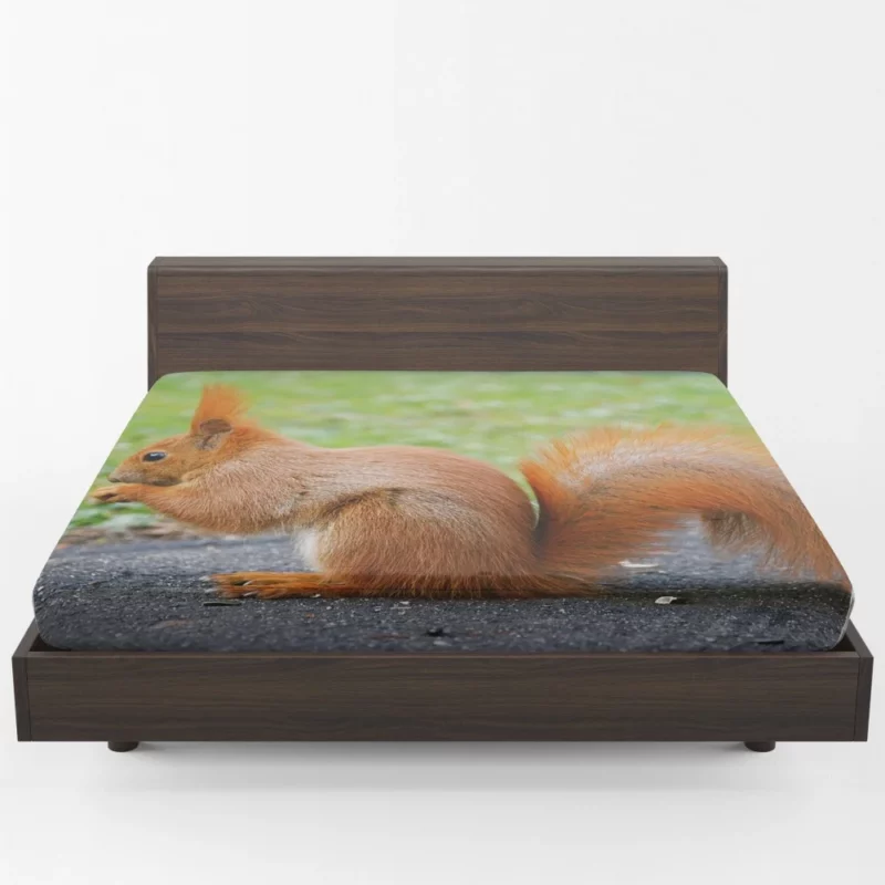 Nature Acrobat Squirrel Playful Moves Fitted Sheet