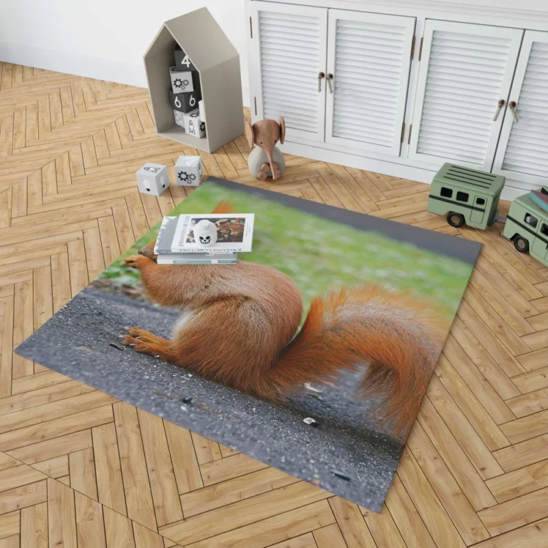 Nature Acrobat Squirrel Playful Moves Rug 1