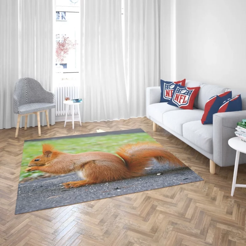 Nature Acrobat Squirrel Playful Moves Rug 2