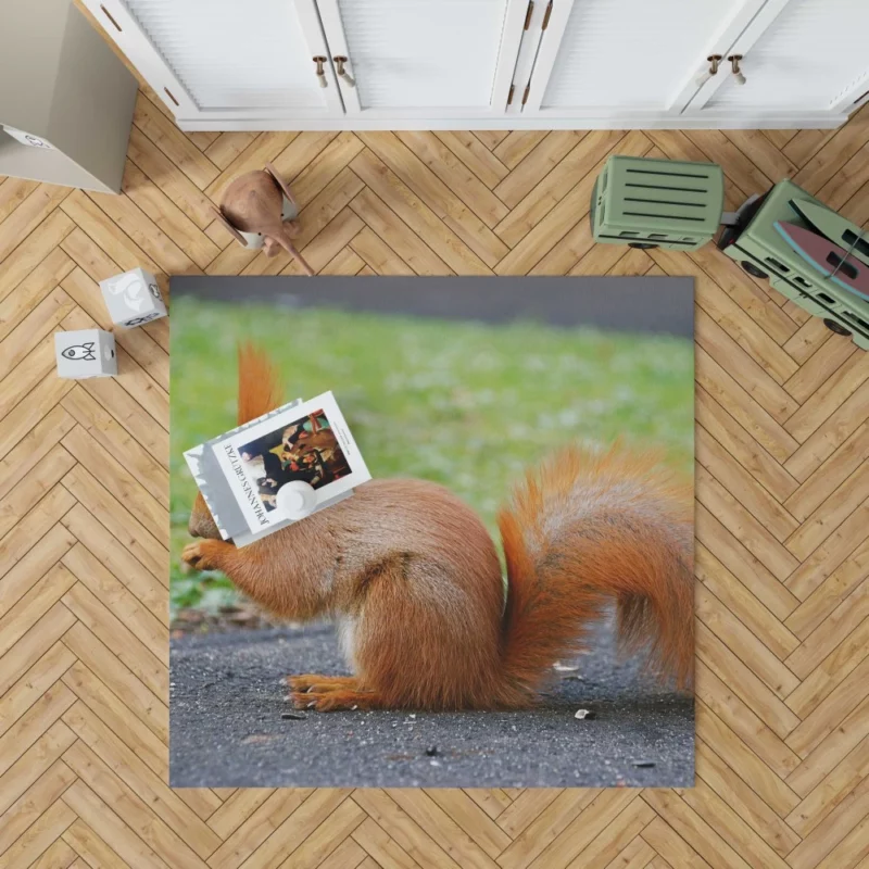 Nature Acrobat Squirrel Playful Moves Rug