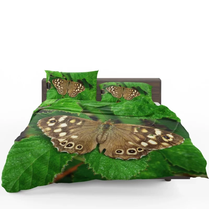 Nature Artistry Butterfly Beauty Bedding Set