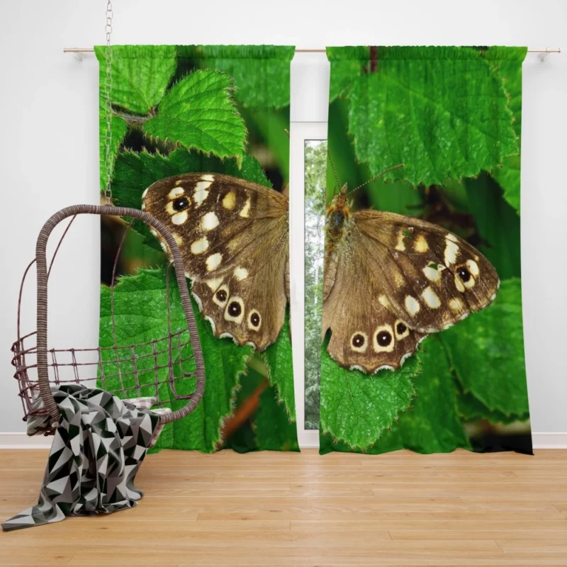 Nature Artistry Butterfly Beauty Curtain